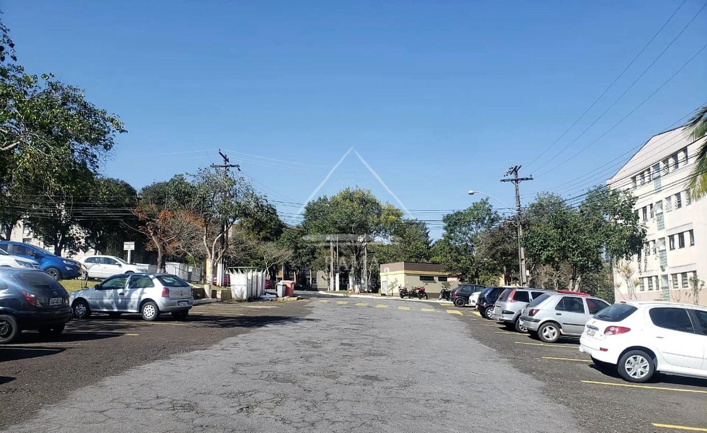 Apartamento Amplo e Atualizado no Residencial Monteiro Lobato